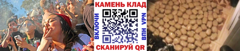 Купить где  Нижние Серги  Гашиш гарик 