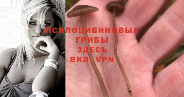 гидропоника Вязники