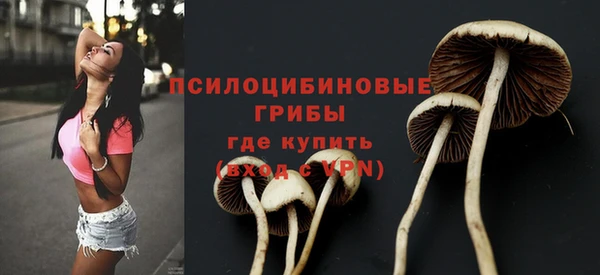 спайс Волоколамск